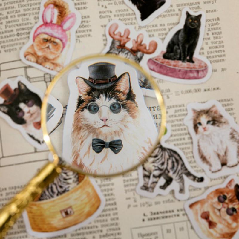 Decorative Stickers - Funny Cat Stickers -