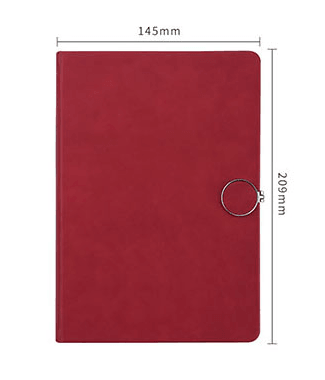 Calendars, Organizers & Planners - Undated Planner for Students and Professionals - Red