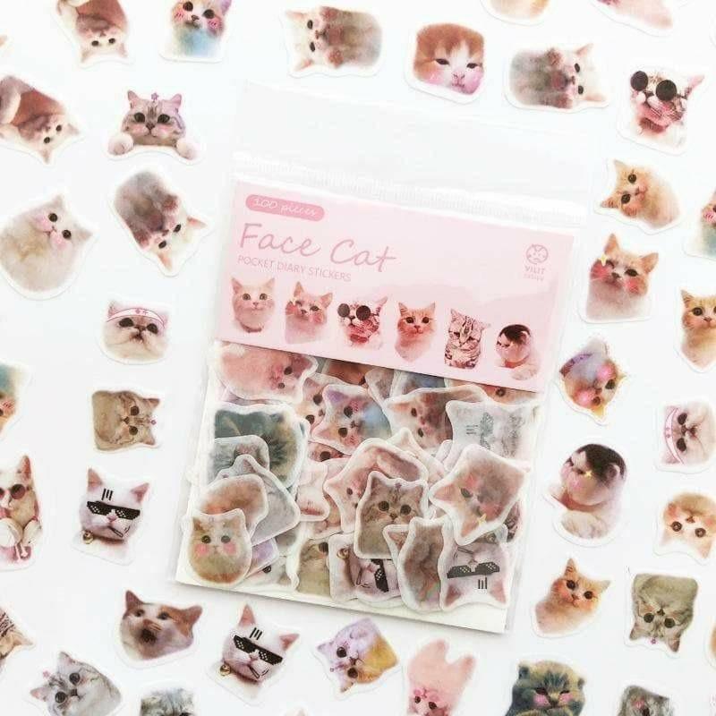 Decorative Stickers - Pocket Diary 100 Sticker Set - Face Cat