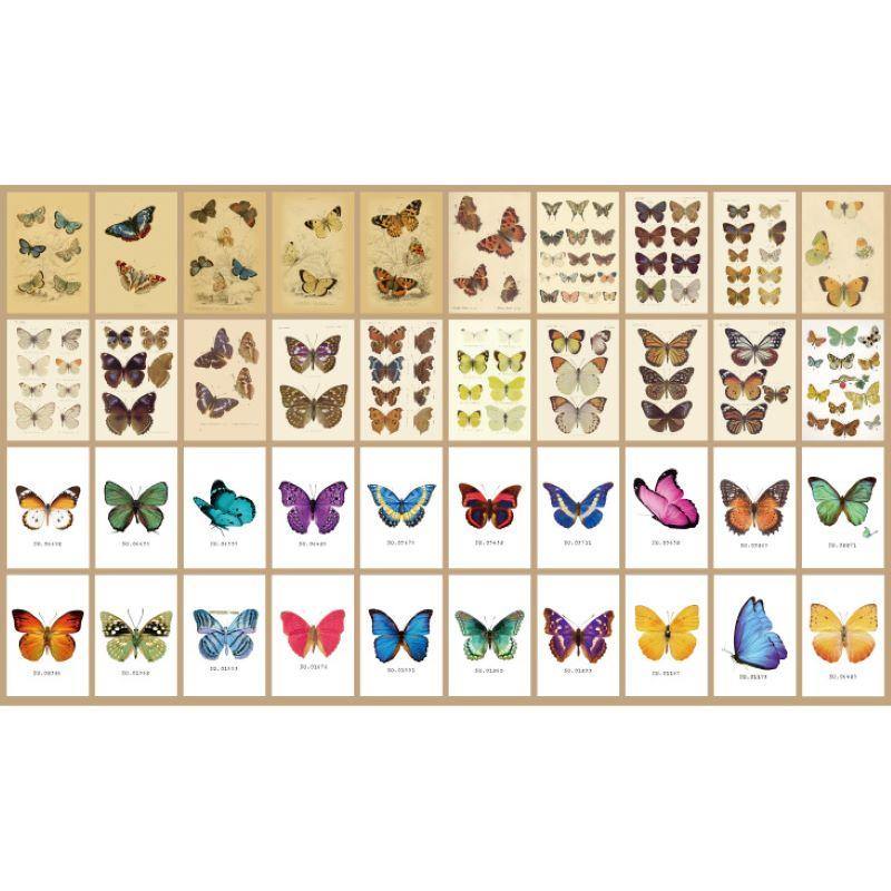 Scrapbooking Paper - Vintage Paper Booklet - Butterfly