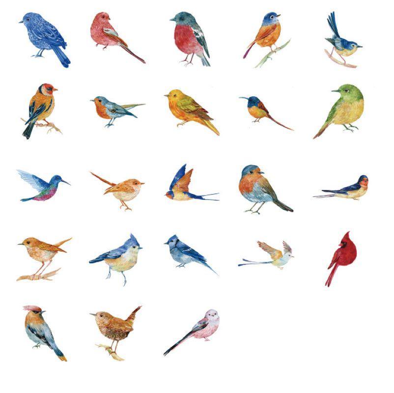 different styles of bird stickers
