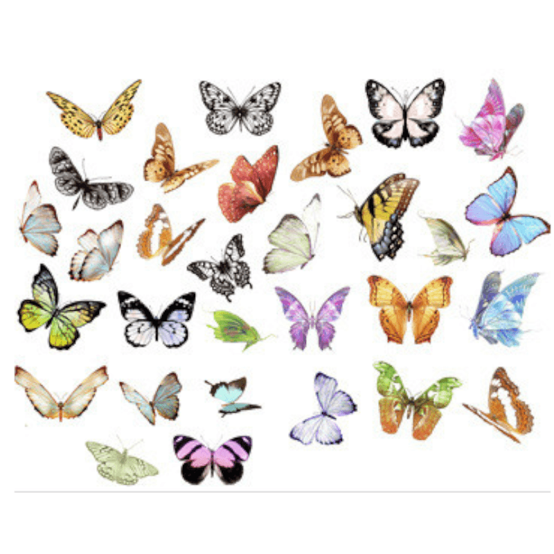 Sticker Sheets - Large Vintage Stickers - Butterfly